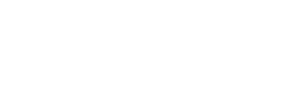 logo mindIT